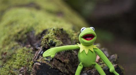 Hi Ho Kermit Woods Ii Hi Ho Kermit The Frog Here Co Flickr
