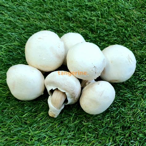 White Button Mushrooms Tangerine