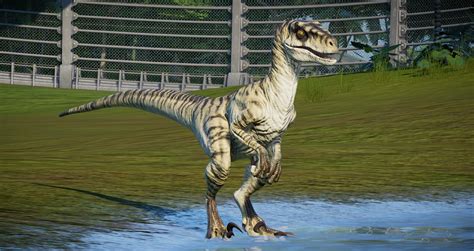 Unused Rtjp Velociraptor Skins At Jurassic World Evolution Nexus Mods And Community