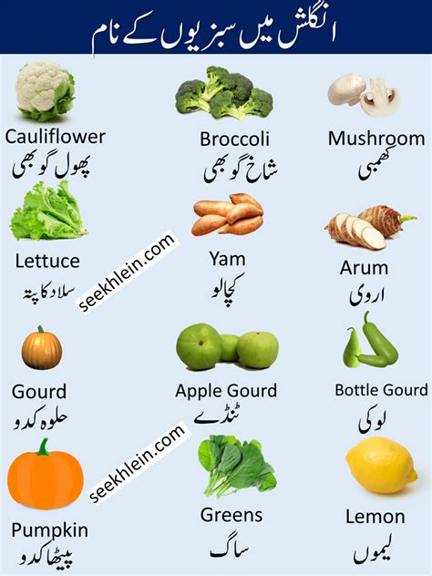 Vegetable Names In Urdu And English With Pictures Seekhlein Sexiezpix