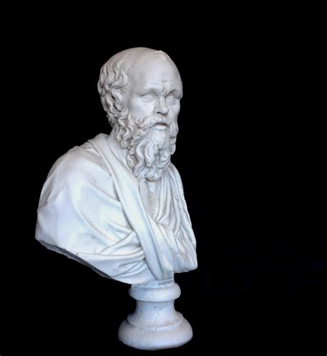 Marble Bust Of Socrates Statue Aongking Sculpture