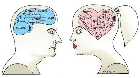 Men And Women Wired Brains The Male V Female Brain Is It All In The Mind Jan S Graphics