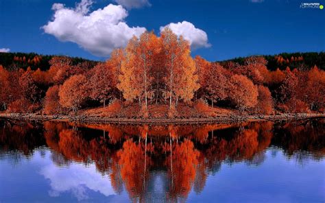 Trees Autumn Water Reflection Viewes Red For Phone Wallpapers