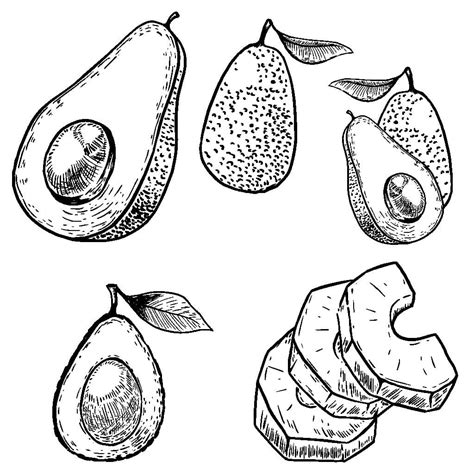 Free Printable Avocado Coloring Pages For Children