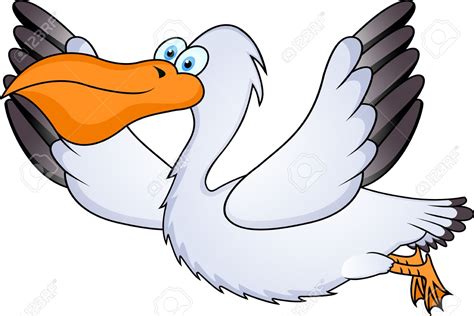 Cartoon Pelican Clipart Free Download On Clipartmag