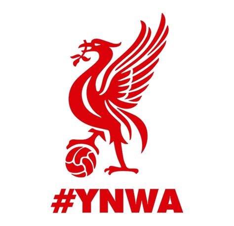 YNWA LFC Vinyl Decal Transfer Sticker Liverpool FC | Etsy