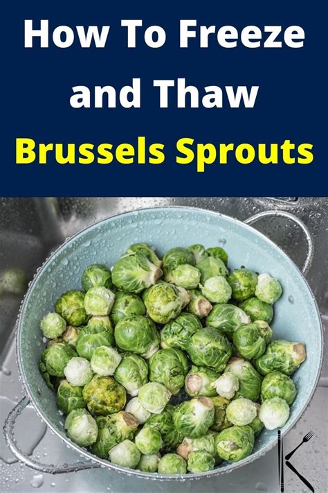 How To Freeze Brussel Sprouts Brussel Sprouts Freezing Brussel