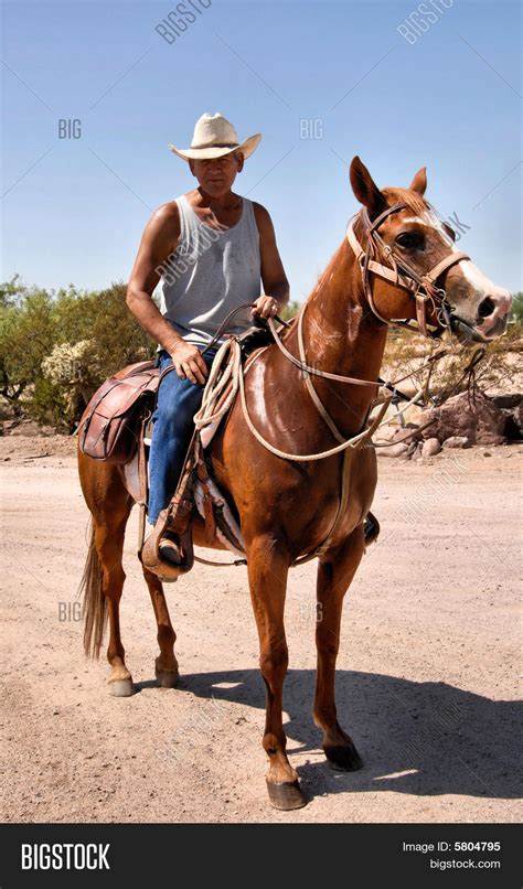 Cowboy On Horse Image And Photo Free Trial Bigstock