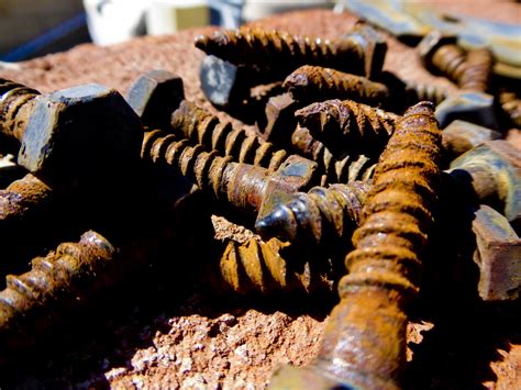 Rusted Wood Screws Free Stock Photo Public Domain Pictures