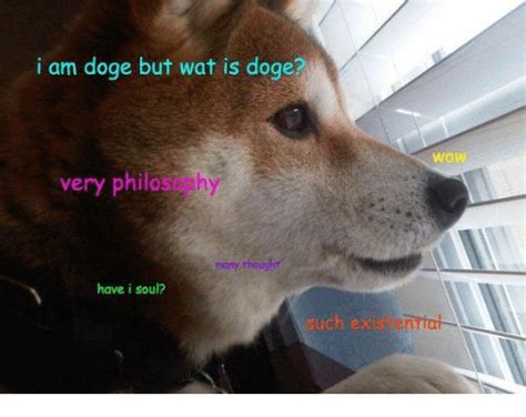 I Am Doge But Wat Is Doge Wow Very Philasophy Have I Soul Uch Ex