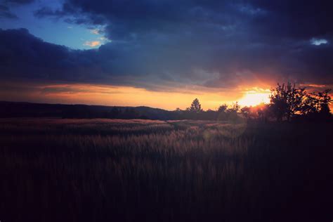 Brown Grass Field Sunset Nature Night Hd Wallpaper Wallpaper Flare