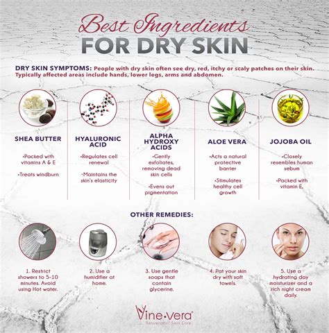 Best Vegan Skincare Products For Dry Skin Dry Skin Symptoms Treating