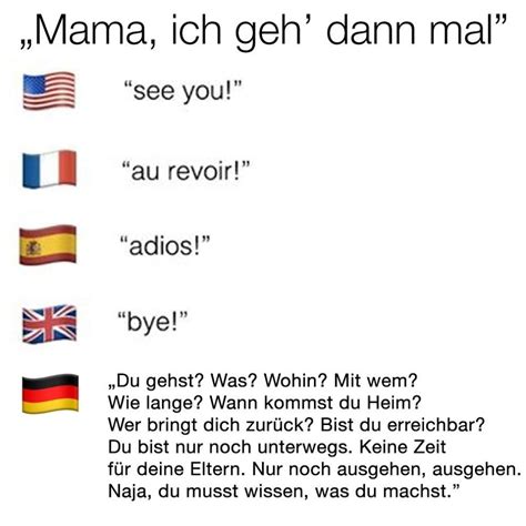 21 Memes Die Dir Genau Erklären Was Es Bedeutet Deutsch Zu Sein Lustige Zitate Und Sprüche