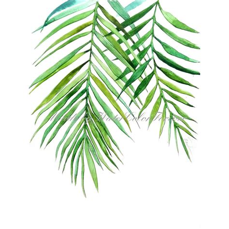 Palm Leaves Original Watercolor Painting Green Leaves Etsy Leaf