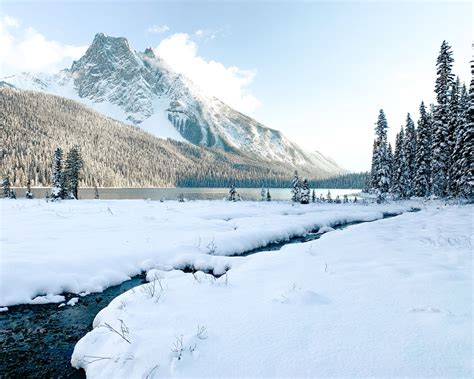 Emerald Lake Yoho National Park British Columbia Yoho National Park