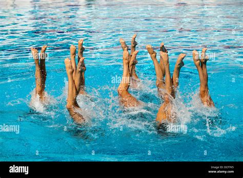 Synchronized Swimmers Legs Point Up Out Of The Water In Action Stock