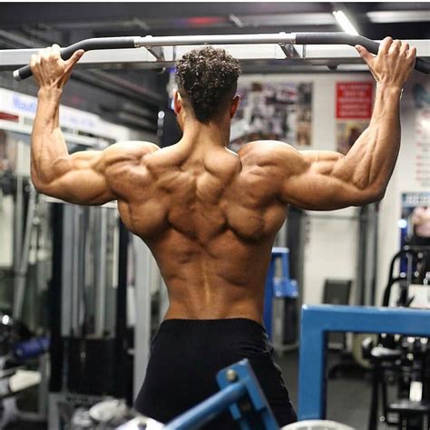 The Best Bodybuilding Back 2022 Fit