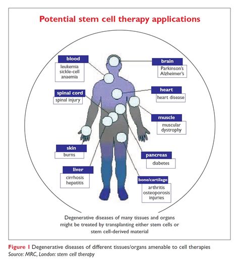 Stem Cell Pharmaceutics Drug Discovery World Ddw