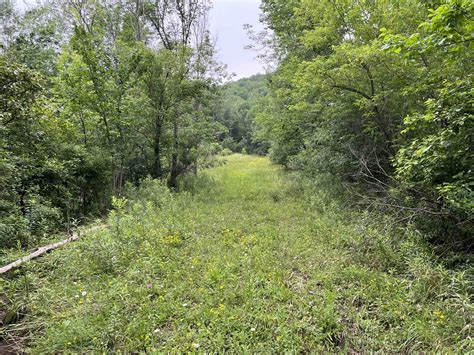New York Land Quest 98 Acres Hunting Land And Recreational Land With