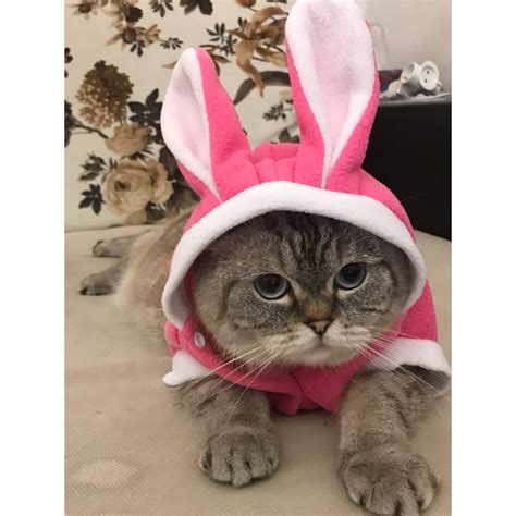 Soft Fleece Cat Costume Rabbit Suit Cute Rabbit Coat For Cat