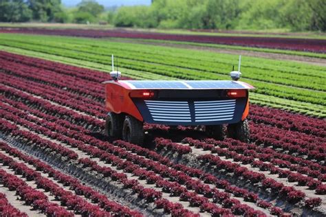 ¿quién Prefiere Una Agricultura Robot Maquinac