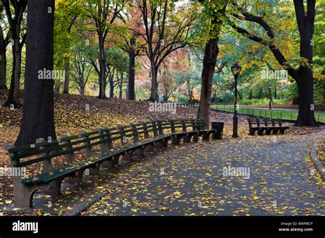 Central Park In Autumn With Sidewalk With Leaves And Park Bench Stock