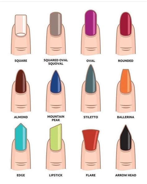 👗👜👔👠💍🎒🧤🕶 on instagram “which is your model 🤩” different nail shapes acrylic nail shapes