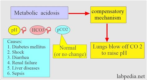 Acid Base Balance Part 2 Metabolic Acidosis And Metabolic Alkalosis Anion Gap