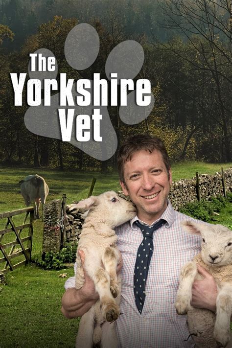 Watch The Yorkshire Vet S6e4 Episode 4 2018 Online For Free The