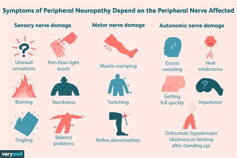 Peripheral Neuropathy And Ms How They Differ 2022