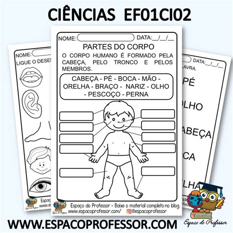 Atividade de Ciências º ano partes do corpo