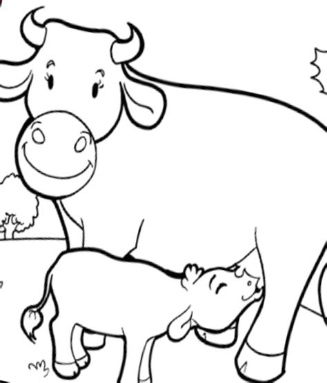 Desenho De Vaca Para Colorir Imagem E Molde E Para Imprimir Hot Sex Picture