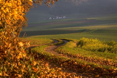 Herbstlicher Weg Foto And Bild Landschaft Äcker Felder And Wiesen