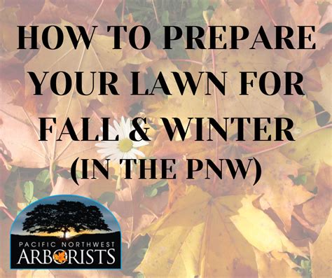 How To Prepare Your Lawn For Fall And Winter In The Pnw Pacific