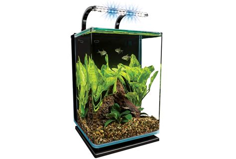 Best Nano Aquariums 5 Nano Tanks Reviews 2019