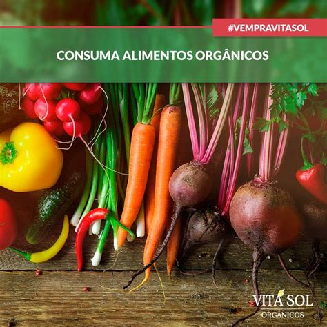 Os Alimentos orgânicos trazem benefícios à saúde e ao meio ambiente São produzidos com métodos
