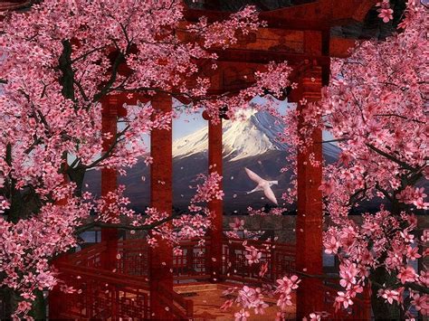 10 New Cherry Blossom Wallpaper Night Full Hd 1080p For Pc