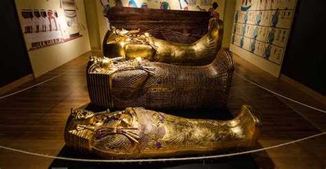 Съкровище за вечността Великолепието на гробницата на Тутанкамон История наука факти и събития