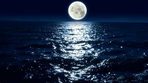 Full Moon Night Landscape With Forest Lake Séquences Vidéo Libres De
