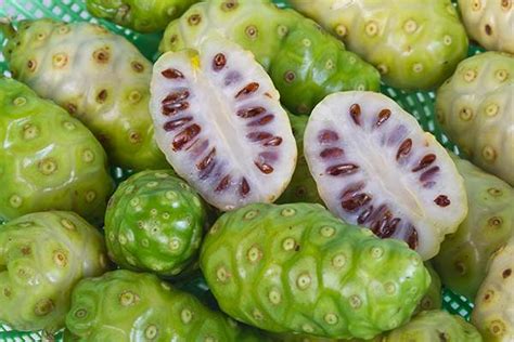 Get To Know The Health Benefits Of Noni Fruithealth Digezt Health Digezt
