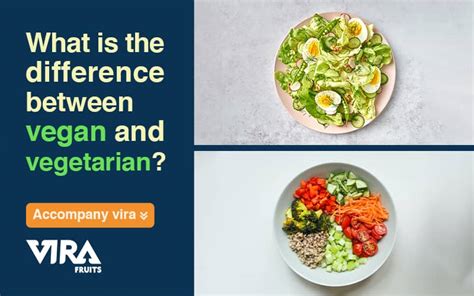 What Is The Difference Between Vegan And Vegetarian