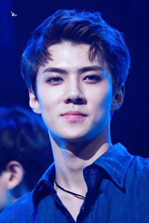 165 Best Oh Sehun 2 Images On Pinterest Sehun Exo And Comebacks
