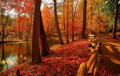 Wallpaper Autumn Forest The Sky Leaves Water Trees Mountains
