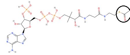 Acyl Vs Acetyl Groups Differences Structures Examples Study Com