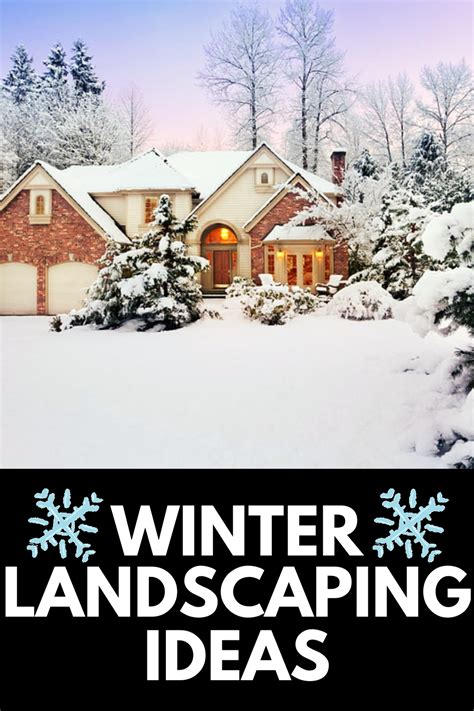 Winter Landscaping Ideas Pics Tips Tricks More 2023 Own The Yard
