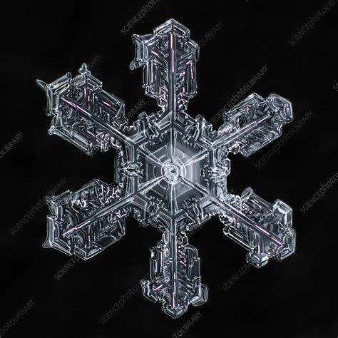 Snowflake Stock Image C0285897 Science Photo Library