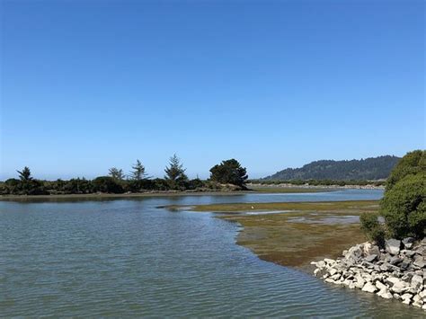 Humboldt Bay National Wildlife Refuge Complex Loleta 2020 All You