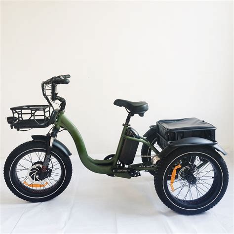 20inch Cargo 1000w Electric Tricycle Mid Drive Wheel Electric Bicycle