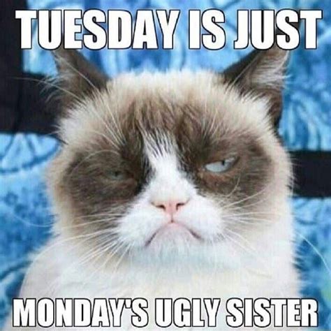 Tuesday is a special day where we find relief from the past stress encountered on monday but start another stress. 15 Happy Tuesday Memes - Best Funny Tuesday Memes