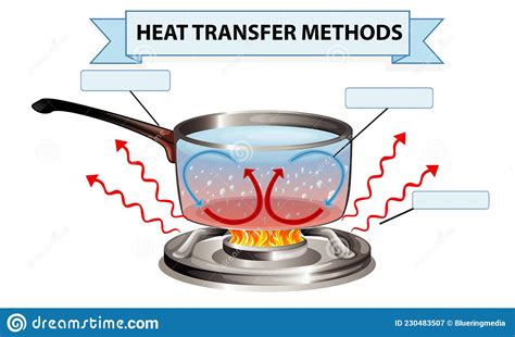 Heat Transfer Methods Worksheet Stock Vector Illustration Of Natural